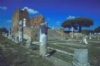 Visualizza immagine