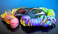 Carnevale Cento Viaggio In Camper ACarnevale Bambini Carnevale Booking Camper