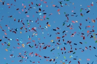 Carnevale Nizza Battaglia Dei Fiori Evento In Camper(1)
