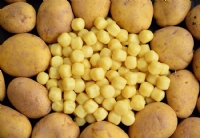 Festa Della Patata Edegli Gnocchi Sagra In Camper Settembre INCamper