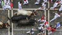 Fiera Di San Firmino Pamplona Corsa Tori Camper