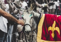Palio Degli Asini Vedere In Camper UNPalio