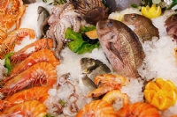 Sagra Del Pesce Vendita ENoleggio Camper In Italia Camper Italiani
